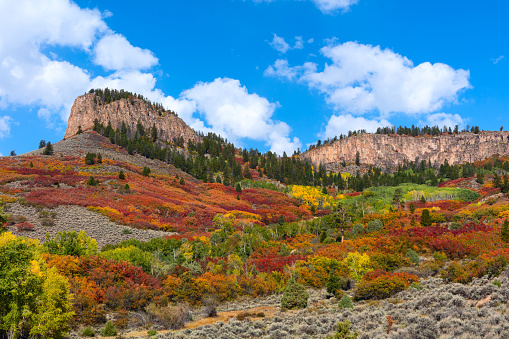 Scenic autumn landscape in the West Elk Mountains near Gunnison, Colorado.