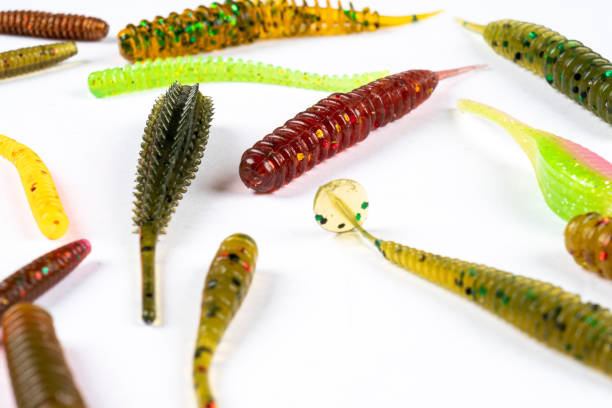 440+ Soft Plastic Fishing Lures With Hooks Stock Photos, Pictures &  Royalty-Free Images - iStock