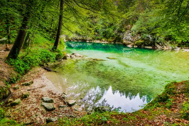 Photo of private isolated spot by the water in slovenia