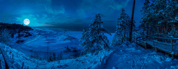 Panoramic view of snowy beach with dunes and Baltic sea surrounded by conifer trees forest in Baltic in a moon light at starry night. View of coast against night sky with stars and full moon.