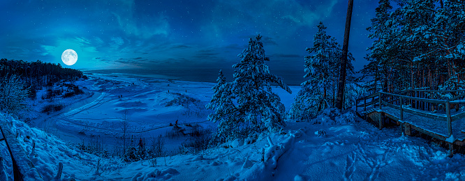 Panoramic view of snowy beach with dunes and Baltic sea surrounded by conifer trees forest in Baltic in a moon light at starry night. View of coast against night sky with stars and full moon.