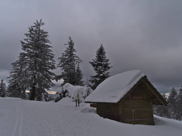 흐린 날에는 크로스컨트리 스키 트레일 과 블랙 포레스트 산맥의 얼어붙은 수거 나무 옆에 눈으로 덮인 나무 창고가 있는 아름다운 겨울 풍경. - cross country skiing black forest germany winter 뉴스 사진 이미지