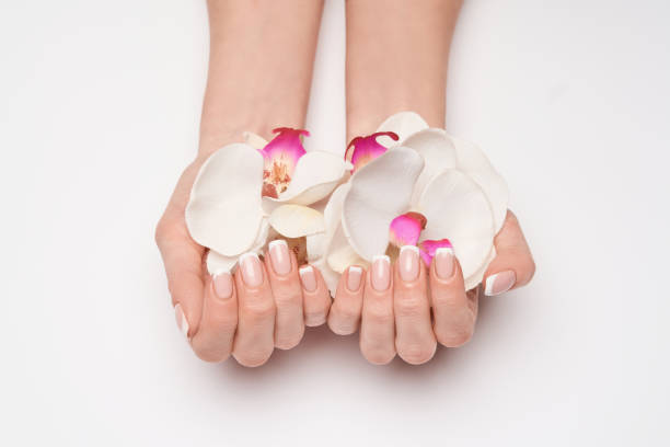 istock Beautiful Female Hands with French manicure over light grey background 1299051492