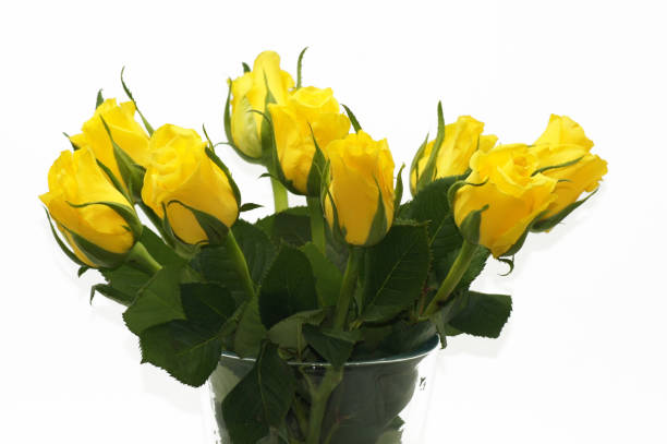 istock Yellow bouquet roses exposed on white background 1299057989