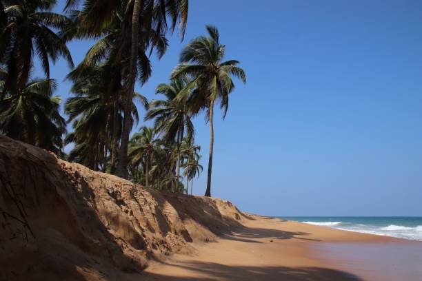 istock Beach erosion at Coco Beach in Avepozo, Togo, West Africa. 1299058038