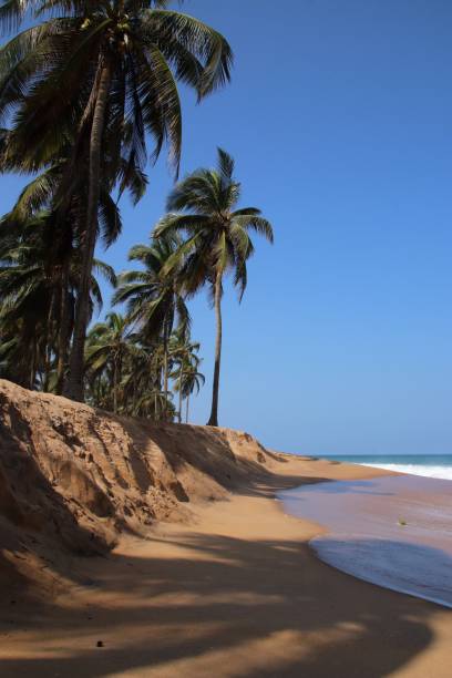 istock Beach erosion at Coco Beach in Avepozo, Togo, West Africa. 1299058070