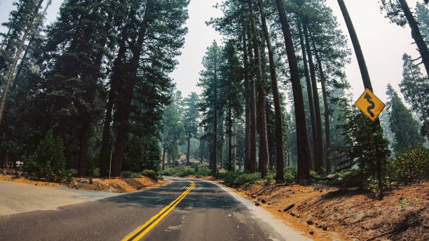 POV driving in Yosemite National park during wildfire POV driving in Yosemite National park during wildfire stanislaus national forest stock pictures, royalty-free photos & images