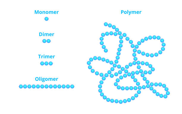 Vector scientific illustration of monomer, dimer, trimer, oligomer, and polymer isolated on a white background. Repeating units of the monomer as a part of a polymer. Differences between monomer and polymer. A monomer is only one organic molecule, a polymer is many repeating units of monomers. Blue beads or spheres shown as monomers.  Macromolecular chemistry concept, scheme, design. polyethylene terephthalate stock illustrations