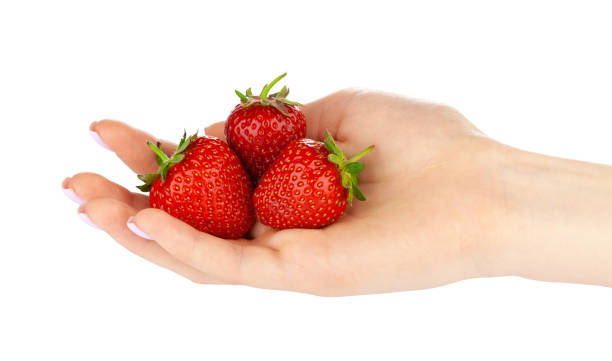 istock hand holding a strawberry isolated on white background 1299061453
