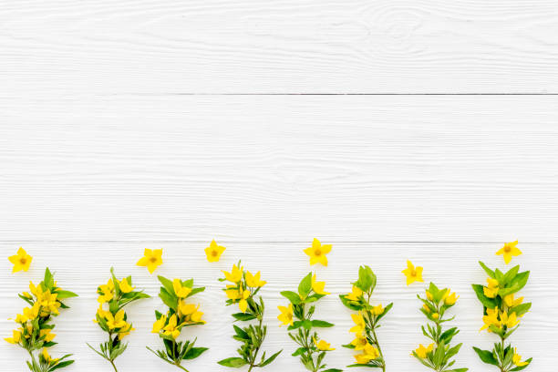 istock Flowers composition of wild spring yallow flowers, top view 1299063899