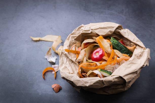 Kitchen leftovers for recycling and composting, garbage sorting, zero waste stock photo