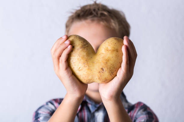 légume laid à la mode, pomme de terre en forme de coeur dans les mains - raw potato organic human skin food photos et images de collection