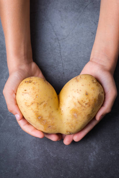 istock Trendy ugly vegetable, heart shaped potato in hands 1299065310