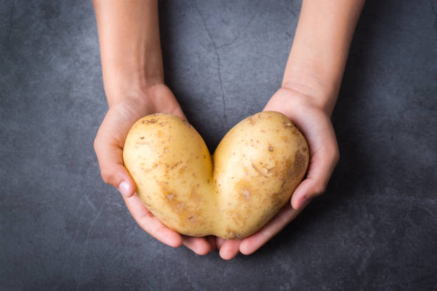 istock Trendy ugly vegetable, heart shaped potato in hands 1299065315