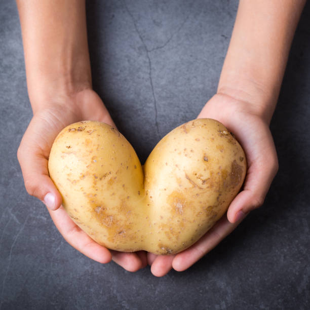 istock Trendy ugly vegetable, heart shaped potato in hands 1299065322
