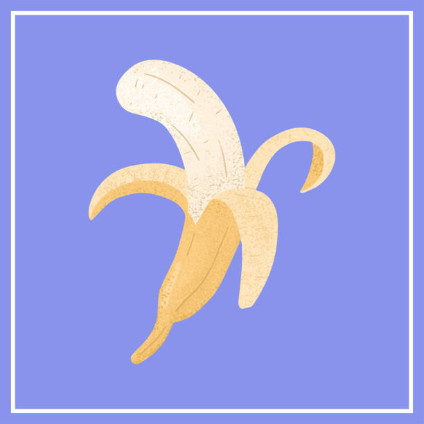 istock Ripe Banana, peeled banana. Sweet banana fruit vector hand drawn illustration on blue background. 1299065535