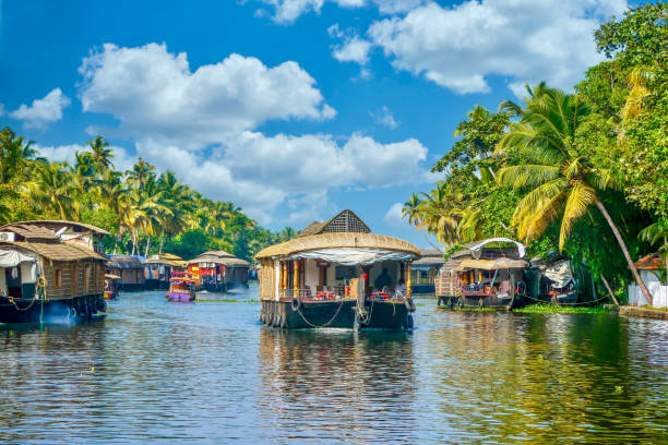 pintorescas barcazas viajan a lo largo de un remanso de kerala en el sur de la india. - kerala fotografías e imágenes de stock