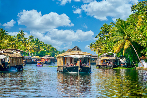 In the peaceful backwaters of the southern state of Kerala, India, covered barges travel along a narrow canal lined with coconut palm trees and lush green tropical vegetation, part of a large network of interconnected inland waterways.
