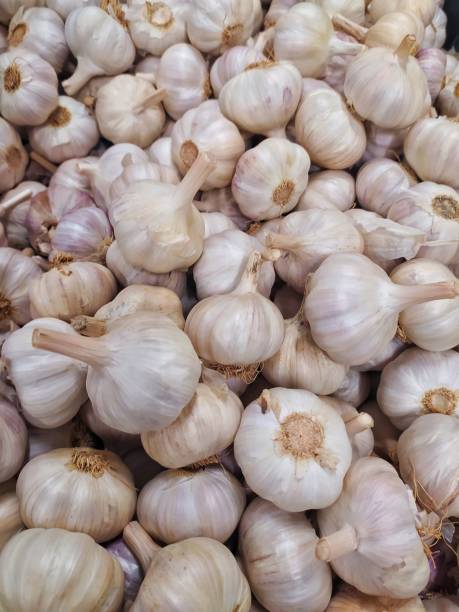 istock Background of garlic bulbs 1299066774