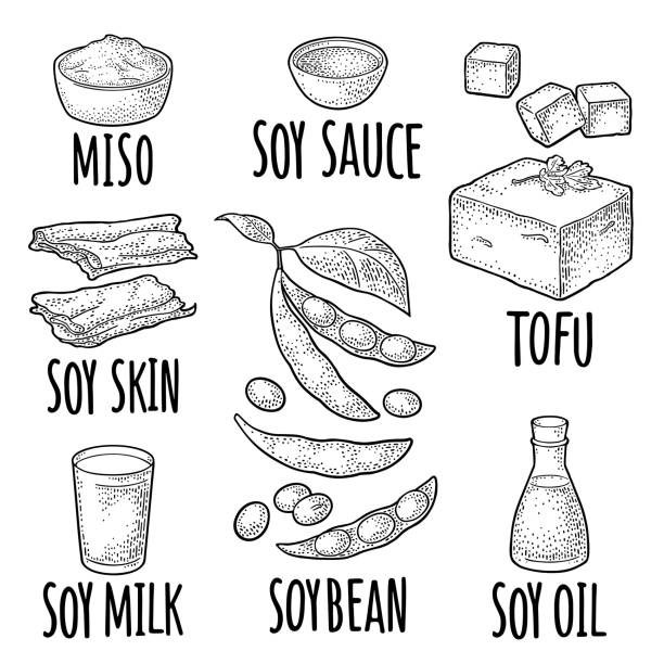 zestaw do jedzenia soji. miso, skóra tofu, soja, sos - tofu skin stock illustrations