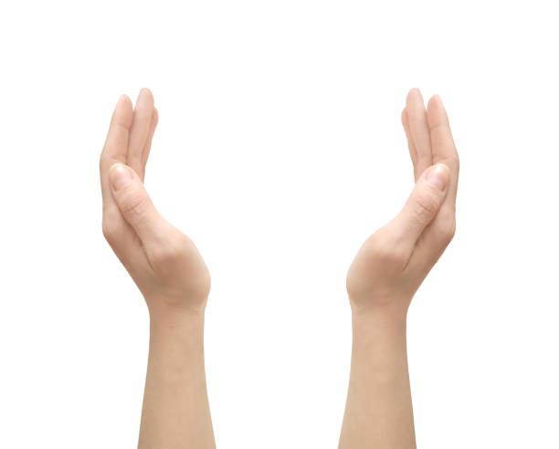 istock Female hands raised up isolated on a white background 1299068418