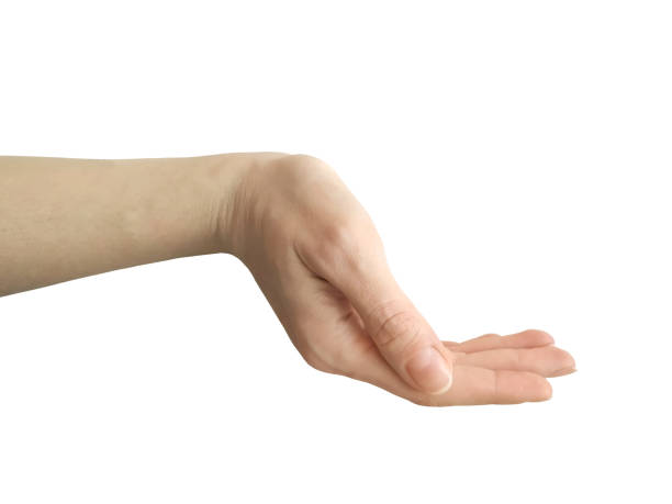 istock Open female hand palm up isolated on a white background 1299068434