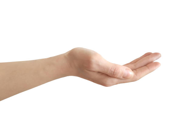 istock Open female hand palm up isolated on a white background 1299068440