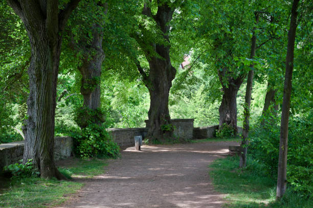 Pathway on old city wall in Soest NRW