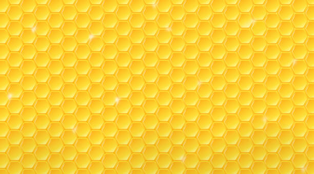 Honeycomb pattern. Geometric hive background. Honeycomb pattern. Geometric hive background. Eps10 vector. honeycomb animal creation stock illustrations