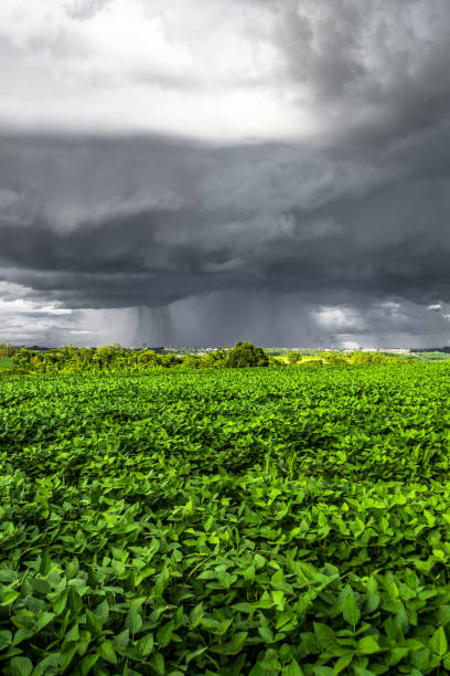 istock rural landscape. rain and storm 1299072454