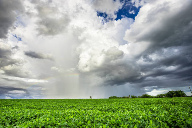 istock rural landscape. rain and storm 1299073107