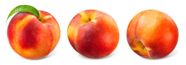 istock Peach isolated. Peaches with leaf. Peach set on white background. Peaches with clipping path. 1299073109