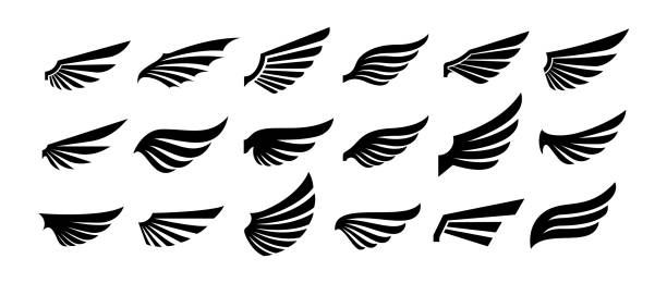 Wings silhouette icons set. Wings silhouette icons set. Wings badges. Vector concept for logo or emblem design. animal wing stock illustrations