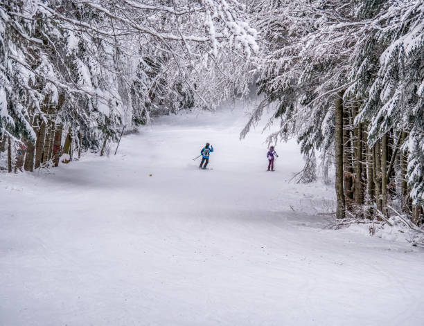 la gente disfruta de esquiar en la pista de esquí de clabucet en la estación de predeal mountain en rumania - sinaia fotografías e imágenes de stock