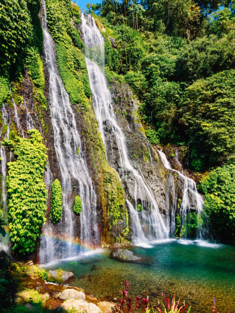 istock Cascade waterfall with clear water in a tropical jungle in Bali, Indonesia 1299075875