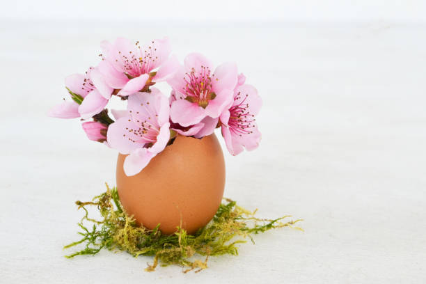 Spring flowers in egg shell flowerpot for Easter on light background. Easter greeting card concept in trendy minimal style, copy space