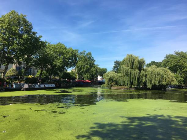istock Little Venice in the summer. 1299078539