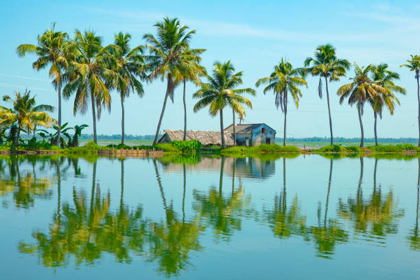 istock Morning Landscape from Kumarakom backwaters 1299083743