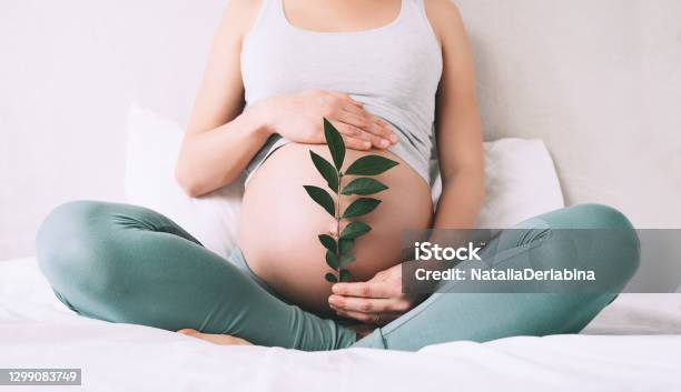 Pregnant Woman Holds Green Sprout Plant Near Her Belly As Symbol Of New Life Wellbeing Fertility Unborn Baby Health Stock Photo - Download Image Now