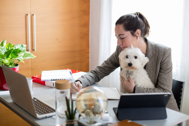 istock Young woman working at home 1299085630