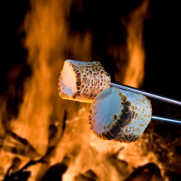 Marshmallows roasting near a fire for smores Two marshmallows being roasted over a campfire to make smores smore photos stock pictures, royalty-free photos & images