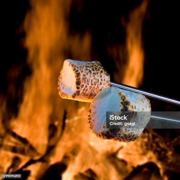 Marshmallows Roasting Near A Fire For Smores Stock Photo - Download Image Now - Smore, Fire - Natural Phenomenon, Roasted