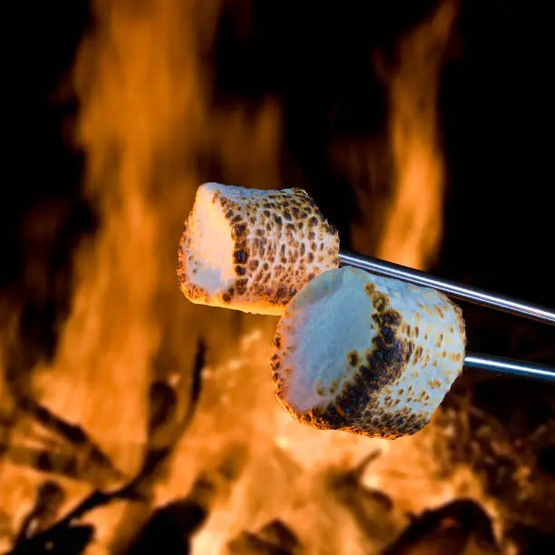 Two marshmallows being roasted over a campfire to make smores