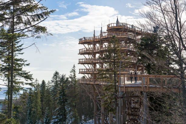 torre de observação treetop na estação de esfósia slotwiny arena - ski arena - fotografias e filmes do acervo