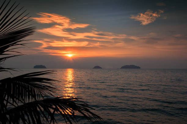 istock Silhouette coconut palm trees on beach at sunset. Vintage tone. 1299098423