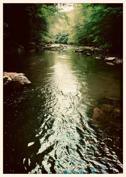 Laurel Highlands Pennsylvania woodlands