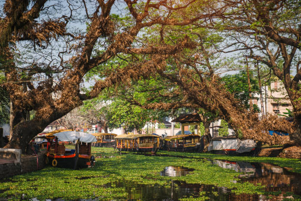 istock Beautiful Kerala backwaters and palm tree landscape 1299100295