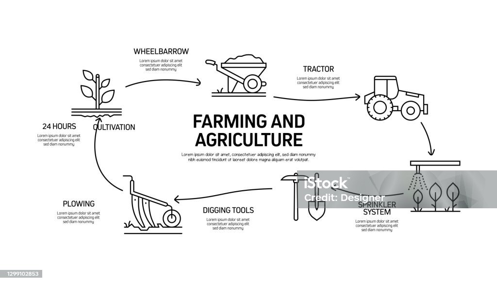 Farming And Agriculture Related Process Infographic Template Process ...