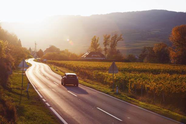 山道 - 日没時のブドウ畑を通る道。ワッハウバレー"n - road landscape journey road trip ストックフォトと画像