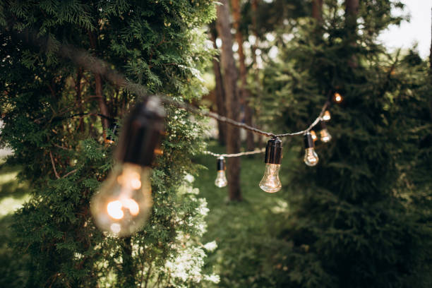 istock Light bulb decor. Lamp garlands hang in the garden between the trees 1299106514